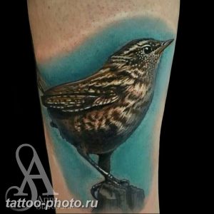 рисунка тату воробей 03.12.2018 №115 - photo tattoo sparrow - tattoo-photo.ru